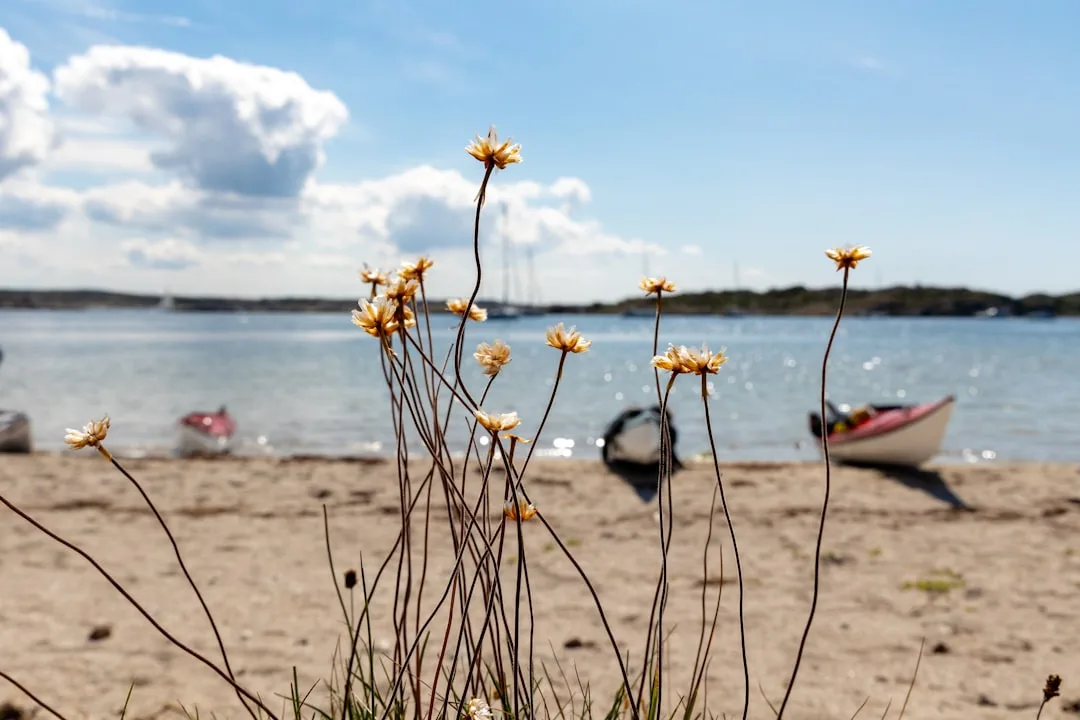 Orust bästa badplatser 2026 – familjebad, klippor och öar