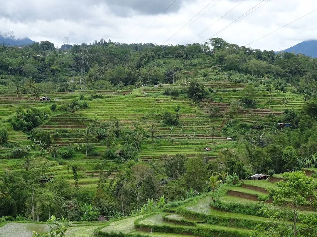 2 veckor på Bali — ultimata resplanen 2026