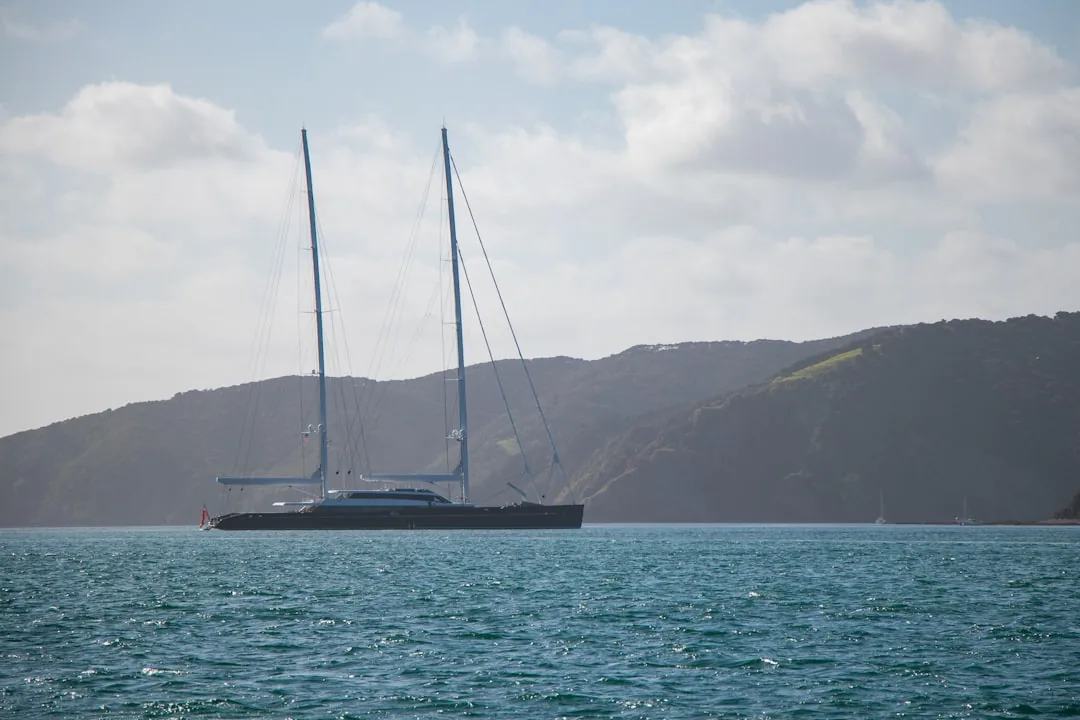 Dagstur till Bay of Islands från Auckland 2026 — Delfiner och paradisöar