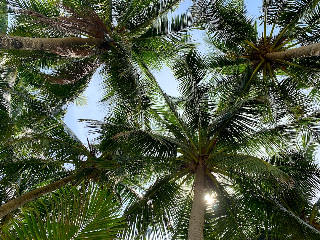 Hotell på Boracay 2026: Var ska du bo nära White Beach?