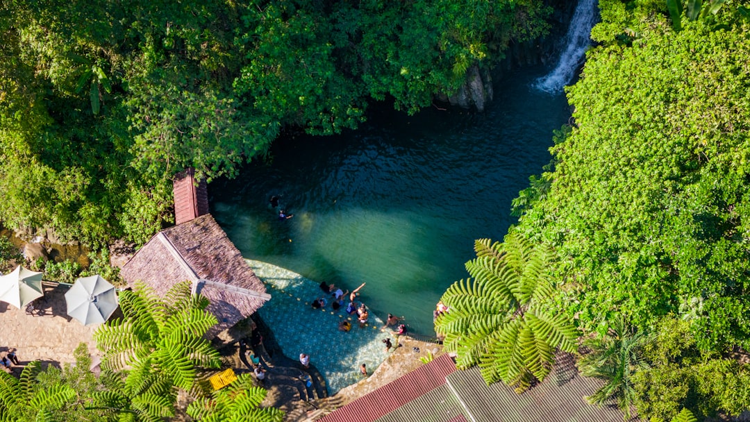 Moalboal och Kawasan Falls 2026: Sardinkörning och canyoneering
