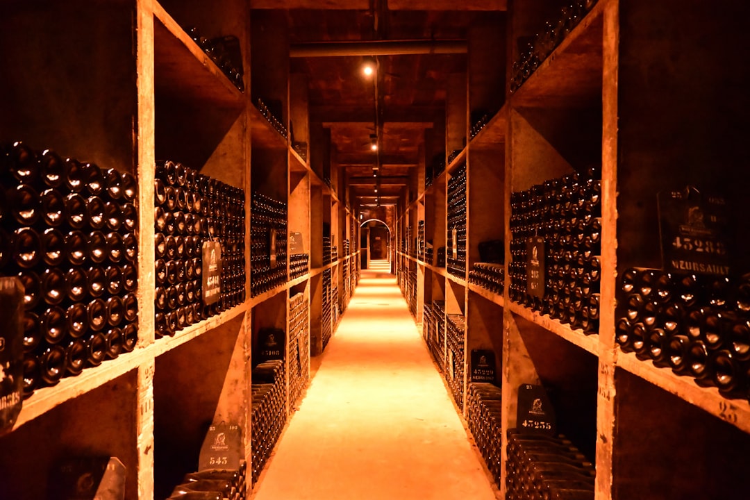 Vinresa till Champagne 2026 — Reims, Épernay och champagnehusen