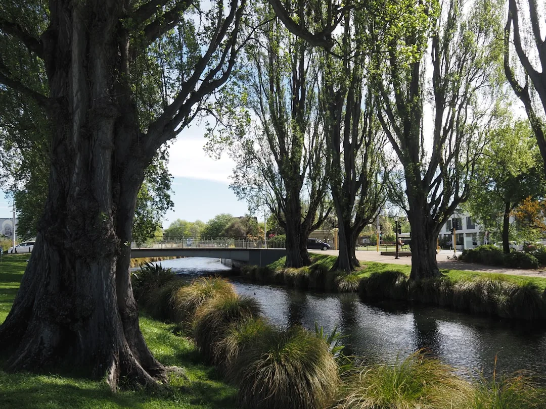 Guide till Christchurch 2026 — Garden City och porten till Sydön