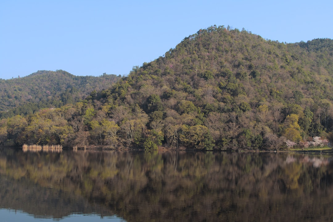 Dagsutflykt till Fujis fem sjöar 2026 — Kawaguchiko och mer