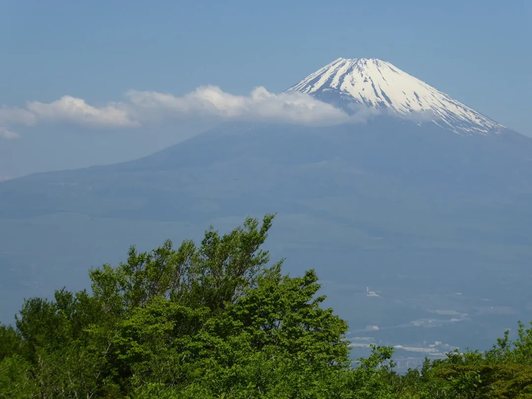 Bästa hotellen i Hakone 2026 — Ryokan med privat onsen