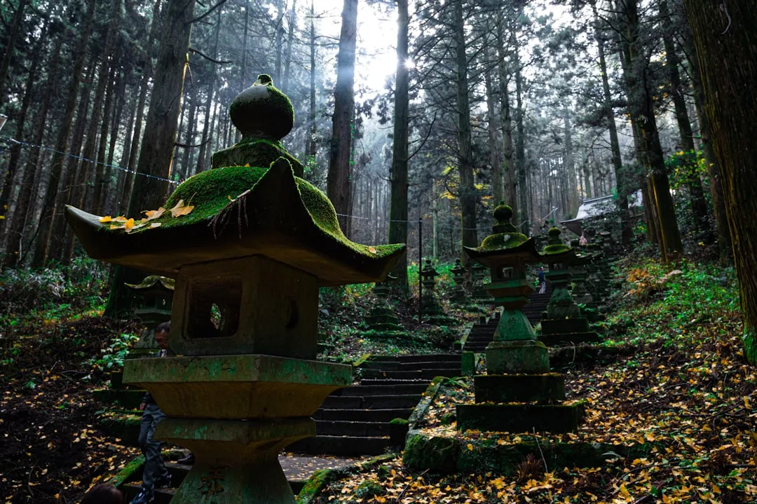 Tempelboende i Japan 2026 — Shukubo på Mount Koya och beyond