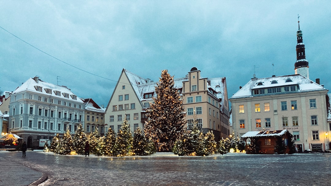 Julmarknad i Tallinn 2026 — Rådhustorget, datum och tips