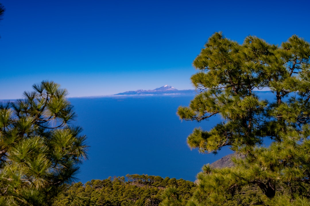 En vecka på Kanarieöarna — Resplan för sol året runt