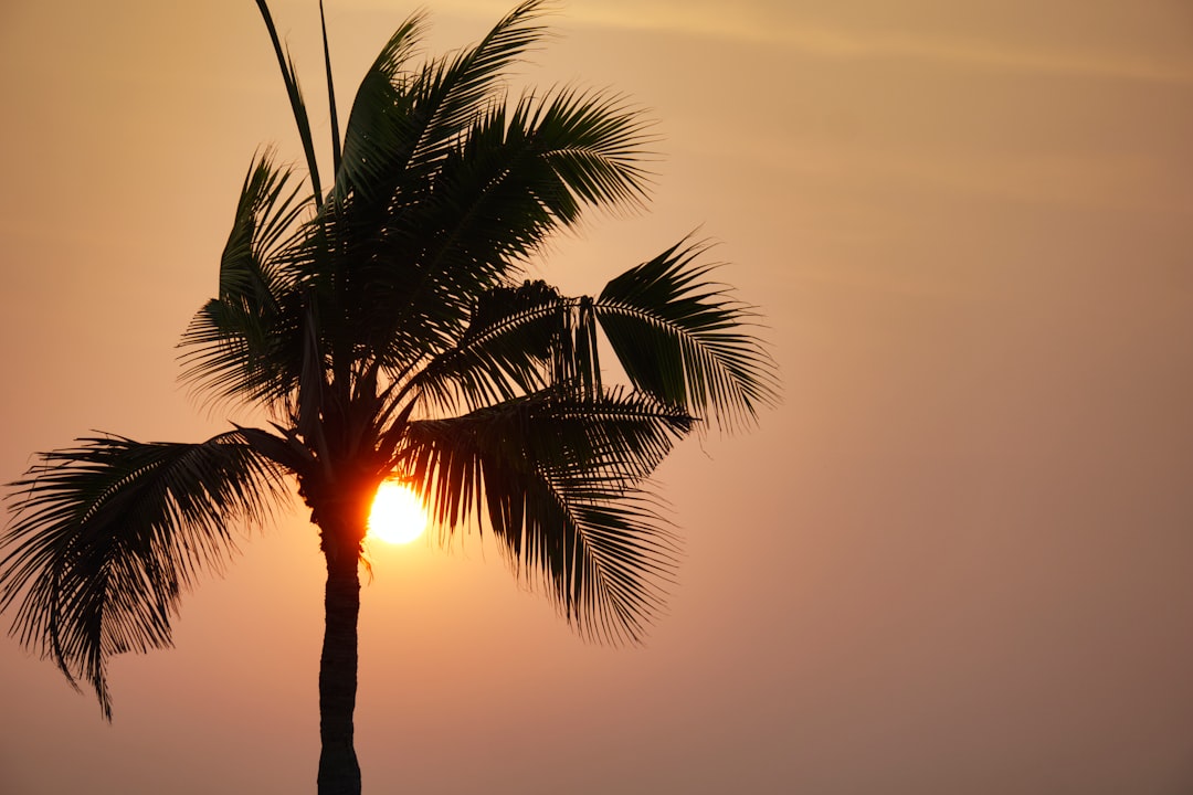 Guide till Koh Lanta 2026 – Svenskarnas favoritö