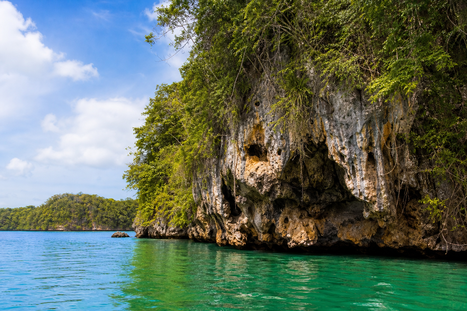 Los Haitises nationalpark — mangrove, grottor och fåglar
