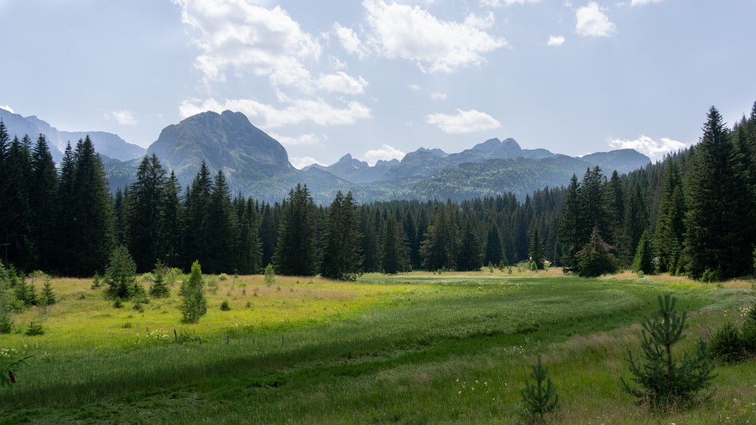 Vandring i Montenegro: Durmitor, Lovćen och de bästa lederna