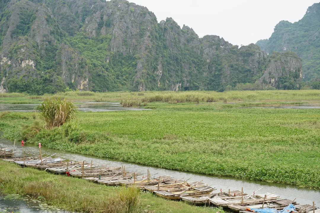 Dagstur till Ninh Binh från Hanoi — Tam Coc och Trang An