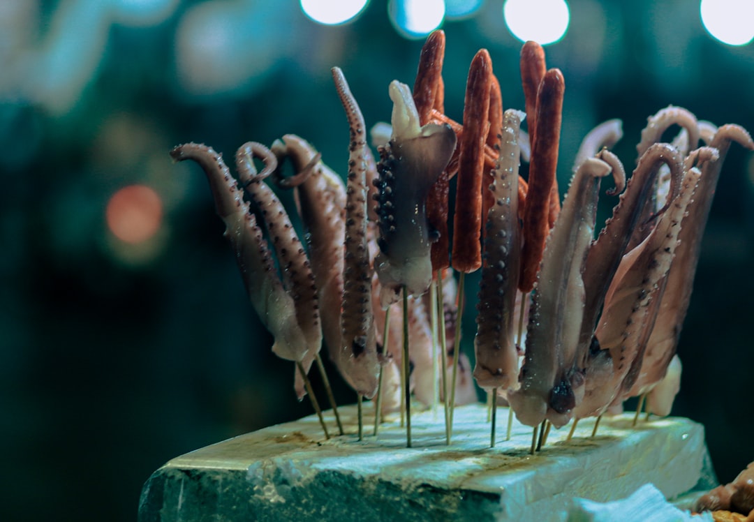 Norra Vietnam — Resplan för Hanoi, Sapa och Halong Bay