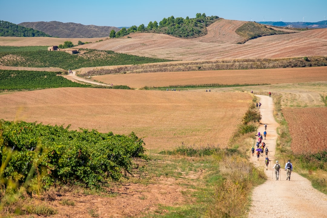 Pilgrimsvandring 2026 — guide till Camino de Santiago, Olavsleden och fler pilgrimsleder