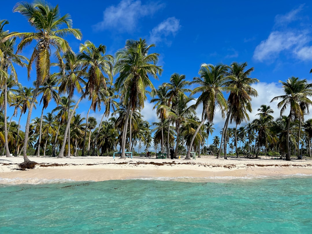 Saona Island 2026 — utflykt till drömön