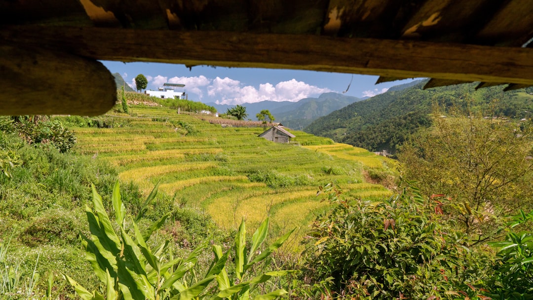 Guide till Sapa 2026 — Vandring bland risterrasser