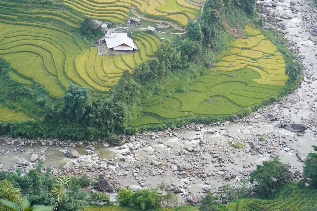 Trekking i Sapa — Vandring bland Vietnams risterrasser