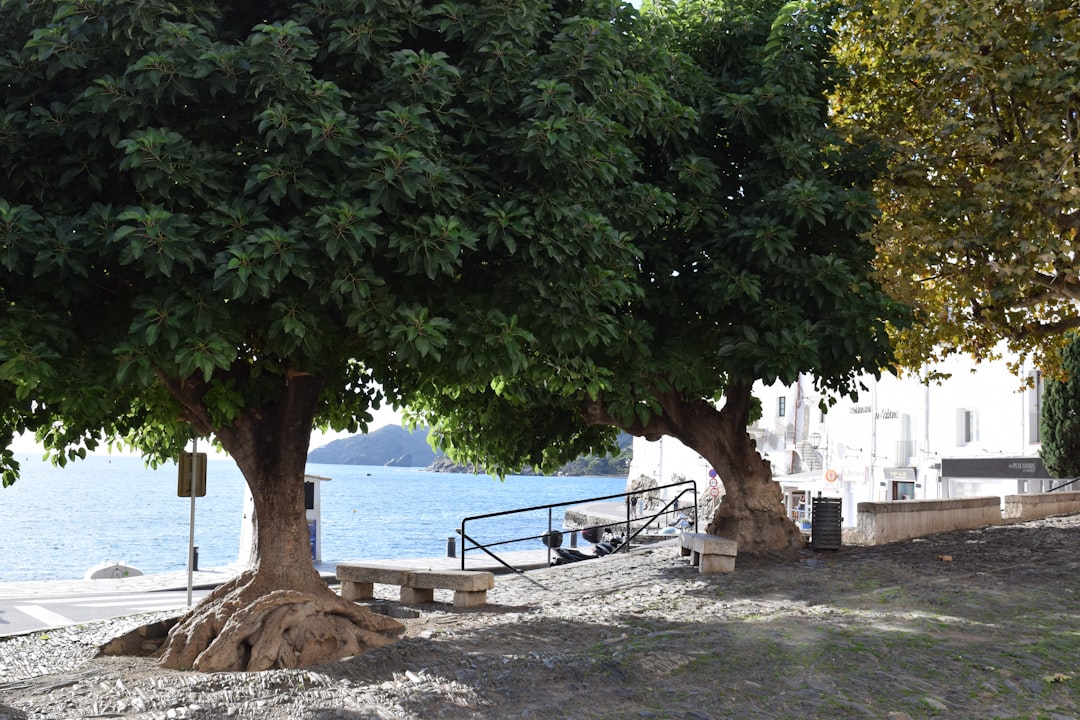 Guide till Spanien 2026 — Allt du behöver veta