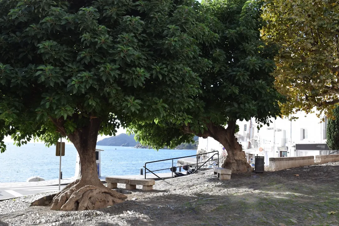 Guide till Spanien 2026 — Allt du behöver veta