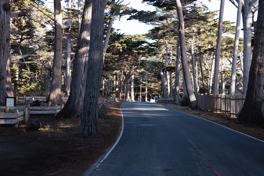 Hyrbil i Spanien 2026 — Allt du behöver veta