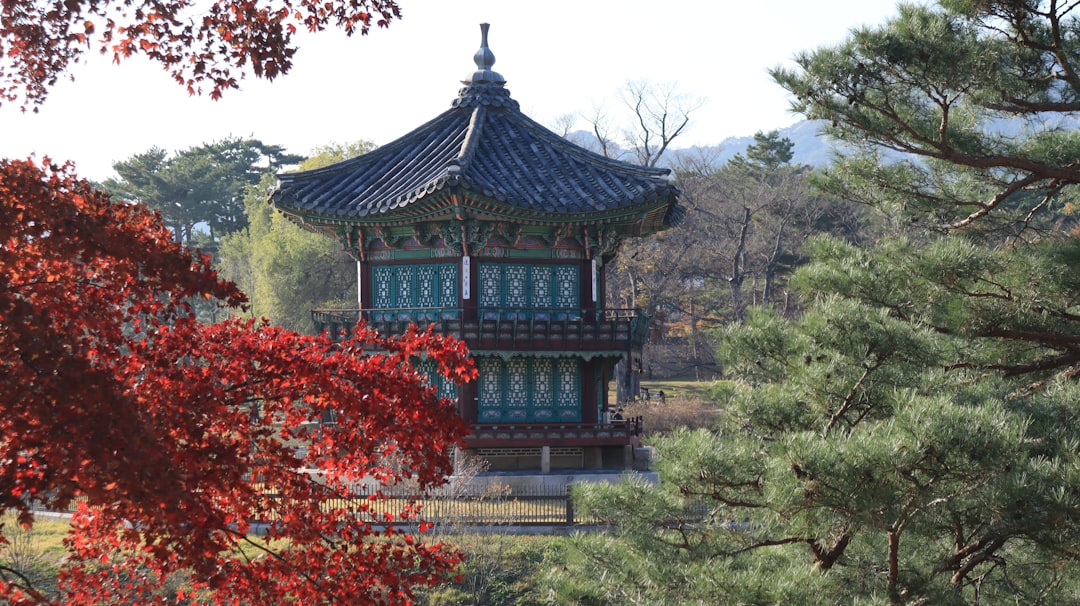 Sydkorea på 2 veckor — Seoul, Busan & Jeju