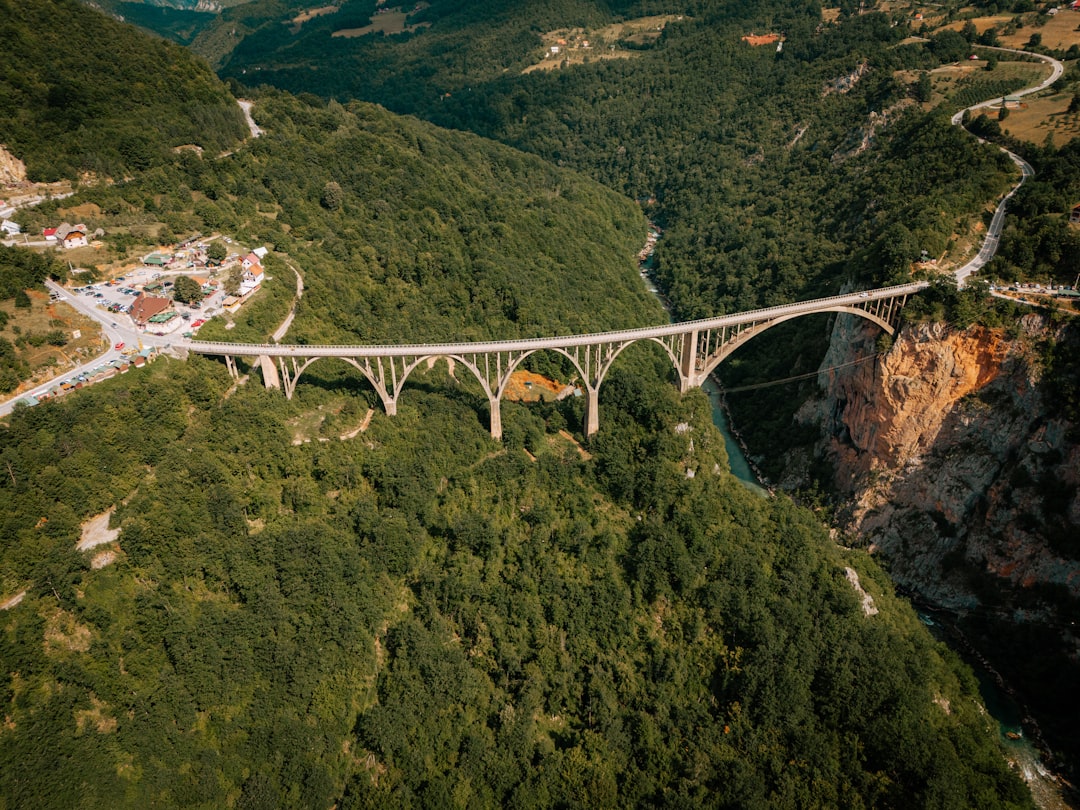 Tarakanjonen och Đurđevića-bron: Dagstur till norra Montenegro