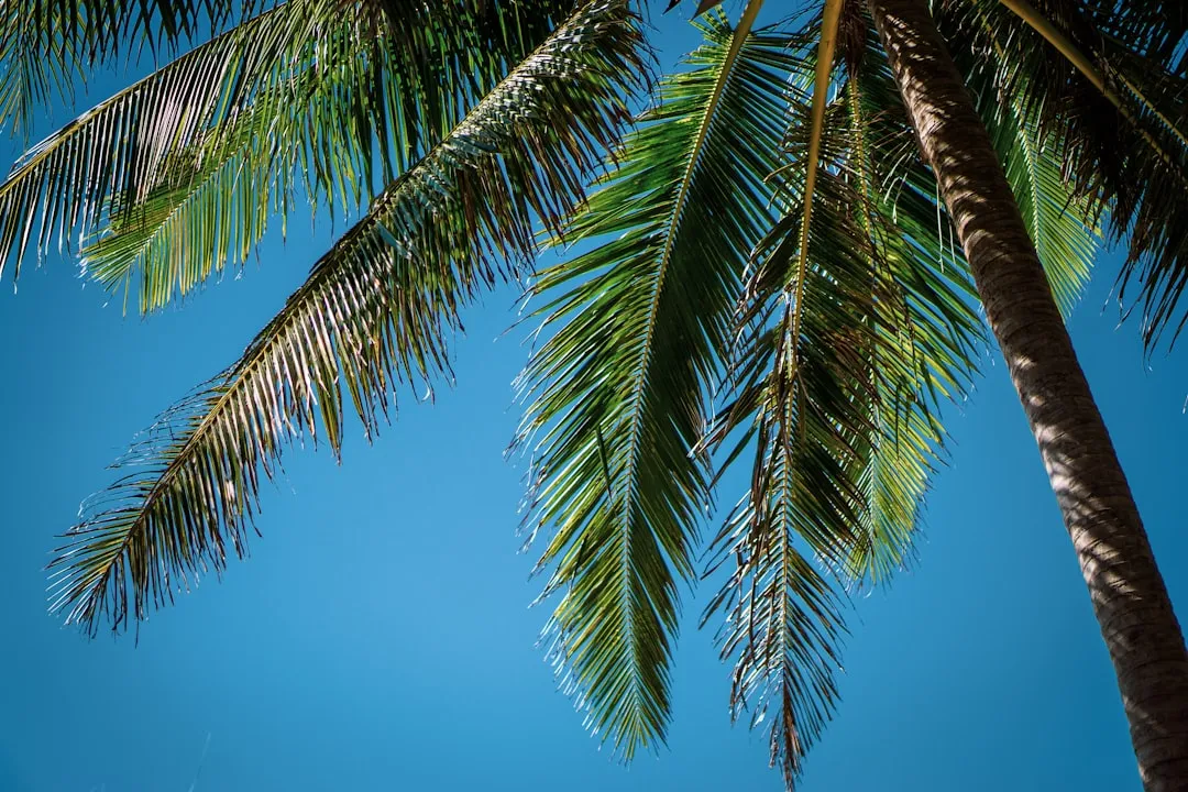 Väder i Thailand månad för månad — bästa restiden 2026