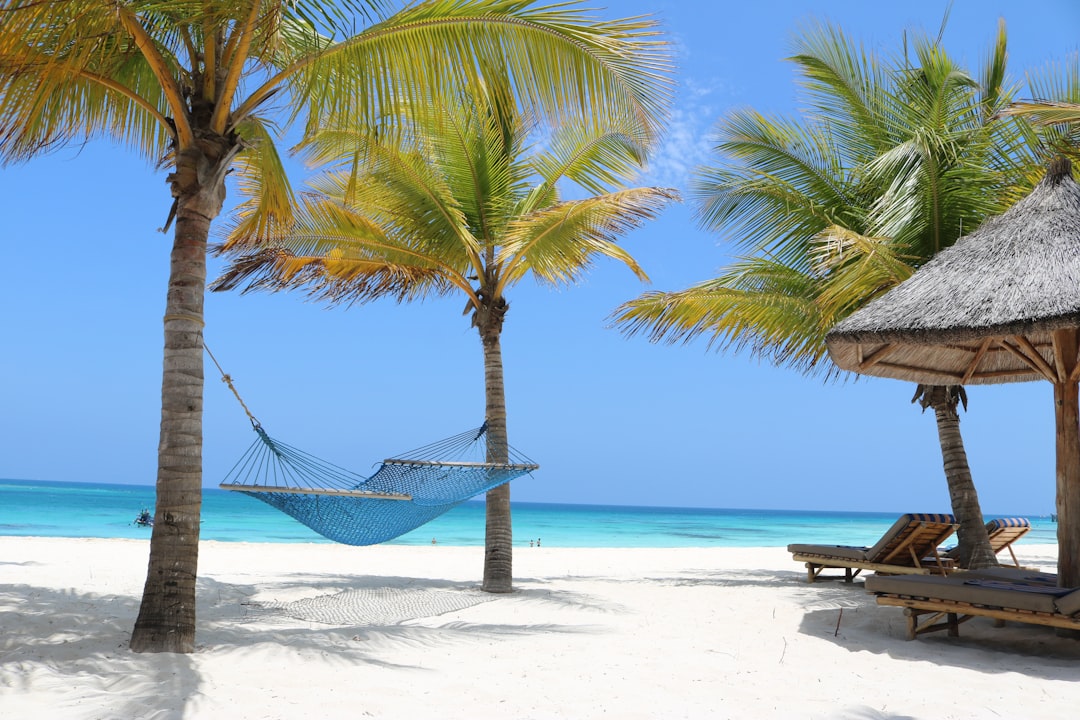 Väder på Zanzibar i december 2026: lilla regnperioden och jul i värmen