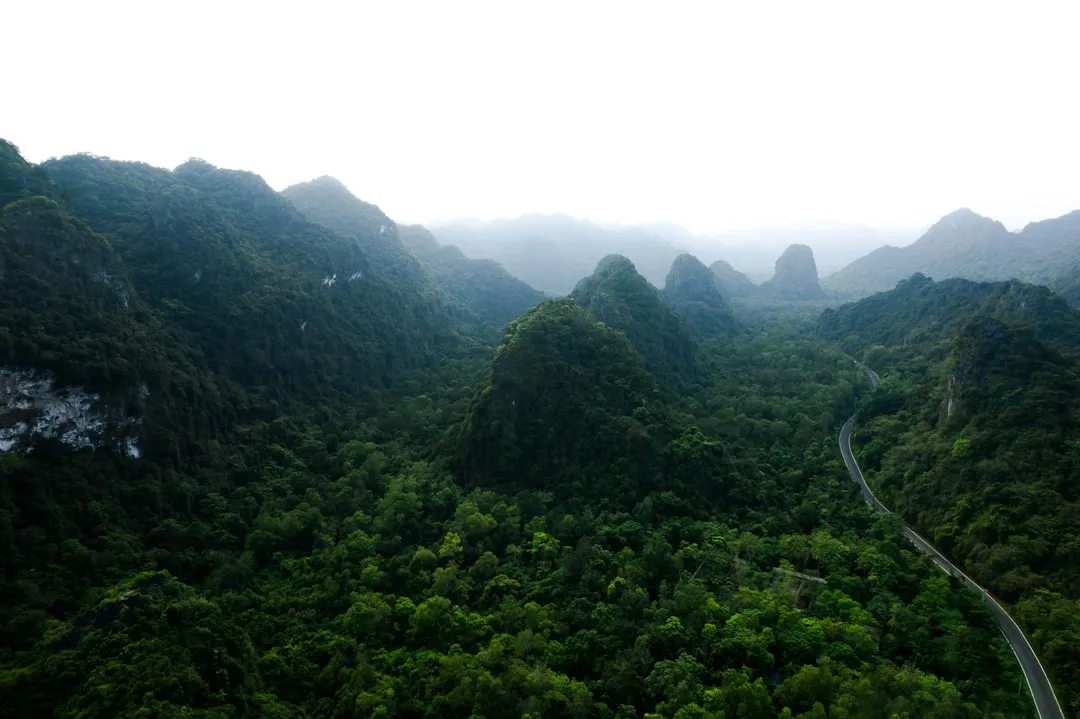 Naturturer i Vietnam — Vandring, grottor och nationalparker