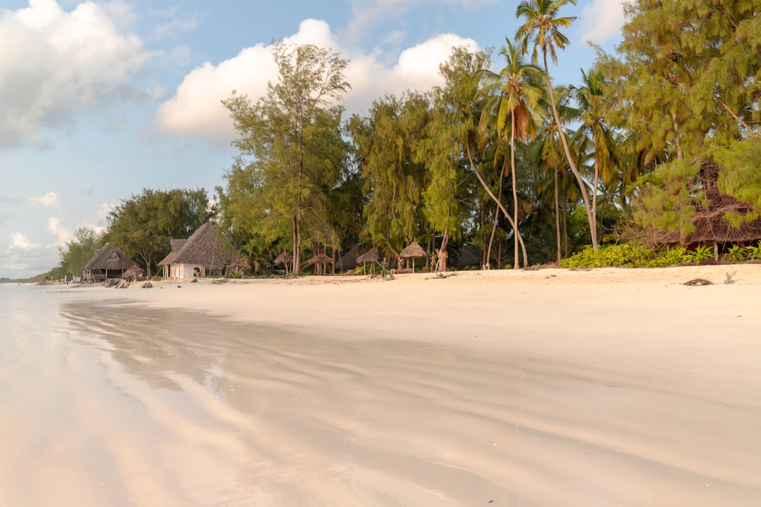 Hälsa, vaccination och malaria på Zanzibar 2026